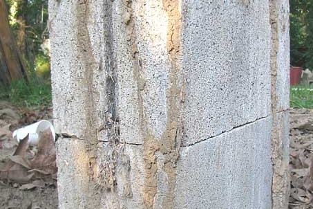 Mud "tubes" climbing up the foundations of an old building. Termites probably build these tubes for protection while the